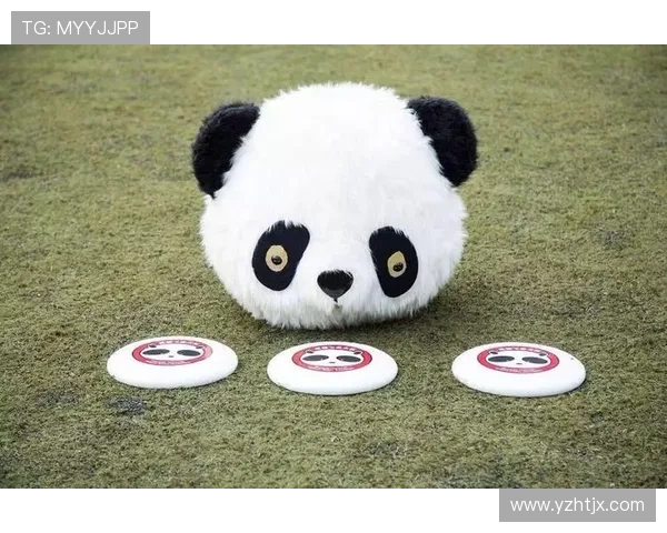 成都飞盘队运营分析：探索成功经验与面临挑战的深度剖析